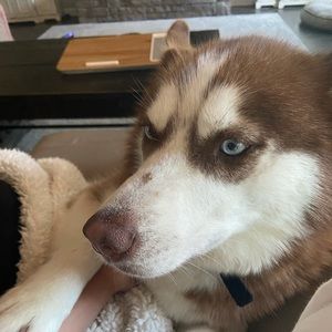 Meet your Posher, Nichole